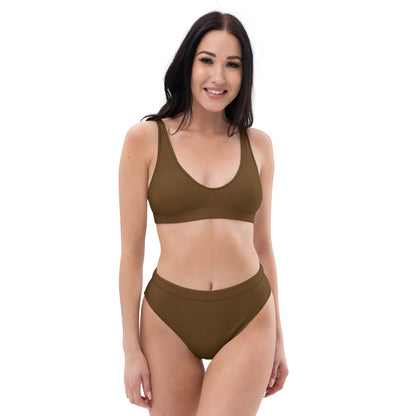 Brown high-waisted bikini