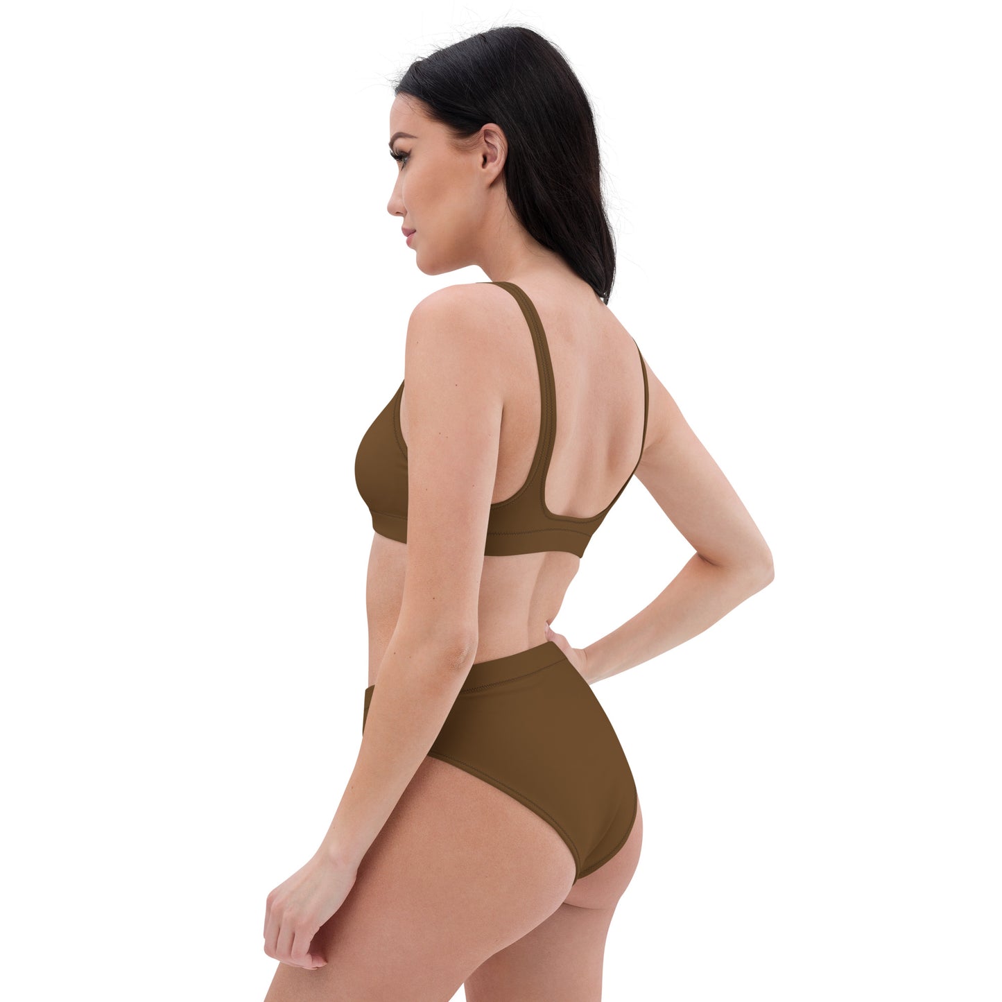 Brown high-waisted bikini